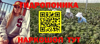 экстази Будённовск