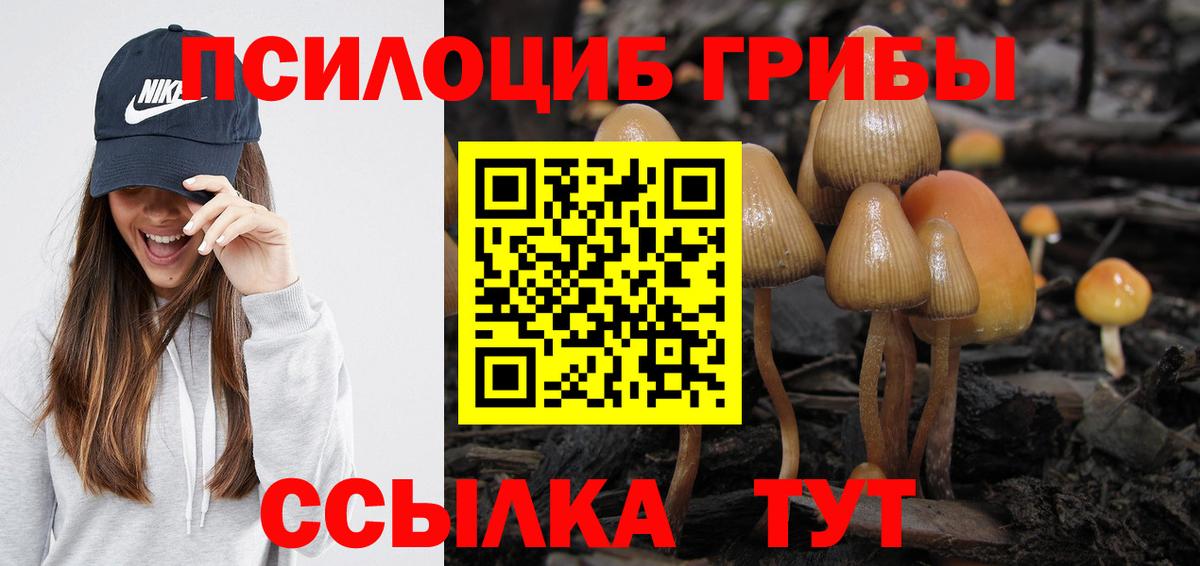 Псилоцибиновые грибы мицелий Россошь